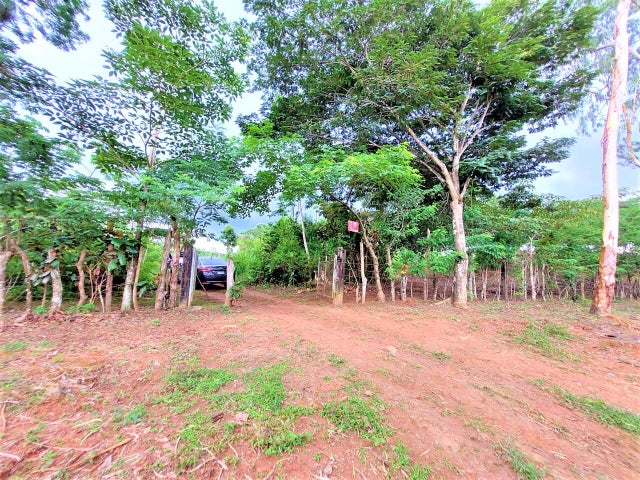 Commercial Property for Sale in Tocumen Panamá Province 07215